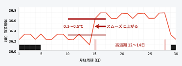 基礎体温表 正常型 基礎体温 不妊治療 治療