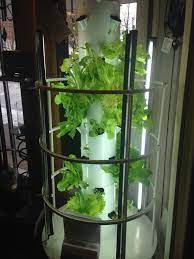Pin By Scott Van Niekerk On Tower Garden Vertical Aeroponic Growing System Making Gardening Easy Tower Garden Growing Vegetables Grow Organic