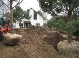 Herr becker hatte uns bei unserem gestaltungsprojekt noch ein paar tolle tipps gegeben, die wir auch gemeinsam umgesetzt haben. Exklusiver Gartenbau In Braunschweig Gruner Wurm