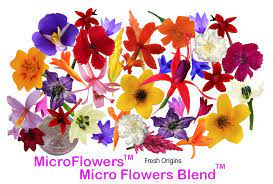 Flowers in your food is usually reserved for wedding cakes and gourmet restaurants but there may be lots of edible arrangements in your garden right now. Edible Flowers Firestix Sparklers Microflower Blend Freshorigins