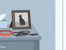 What Should I Do If My Dog Dies At Home Dog Deals Dog Training Near Me Dog Died