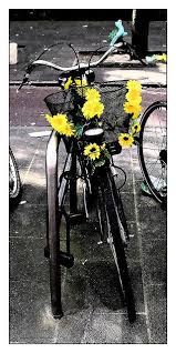 Black And White Bike Color Sunflower Bike Color Splash Photo Color Splash Color Splash Photography