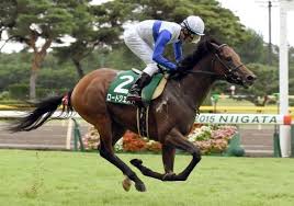 Apr 18, 2021 · no.1競馬サイト「netkeiba.com」がアンタレスステークス(g3).2021年4月18日阪神の競馬予想・結果・速報・日程・オッズ・出馬表・出走予定馬・払戻・注目馬・見どころ・調教・映像・有力馬の競馬最新情報をお届け！ ã‚¨ãƒ«ãƒ ã‚¹ãƒ†ãƒ¼ã‚¯ã‚¹ 2017 é–¢å±‹è¨˜å¿µ 2017 æœ¬å'½é¦¬äºˆæƒ³ äºˆæƒ³ã‚ªãƒƒã‚º5 8å€ãƒ­ãƒ¼ãƒ‰ã‚¯ã‚¨ã‚¹ãƒˆãŒç§‹ã®é£›èºã«å'ã'ã¦å‹è² ã®ä¸€æˆ¦ ç¥žç«¶é¦¬ãƒžã‚¬ã‚¸ãƒ³