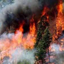 La Veta braces for economic impact to ...