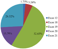 pie chart showing the epidermal growth factor receptor egfr