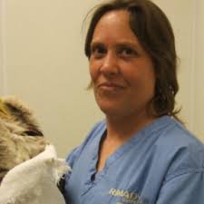 Book an Animal Massage In Metairie, LA
