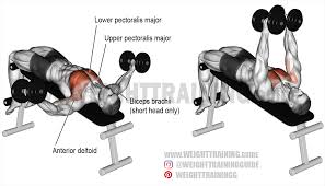 York Weight Bench Instructions