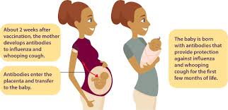 Pregnant Women California Immunization Coalition