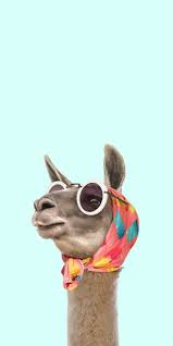 Pin By Darmono Gundah On Wallpaper Cartoon Wallpaper Cute Backgrounds Funny Wallpapers