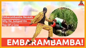 Stories 47 posts 3,326 followers 27 following. Embarambamba Reveals Why He Jumped On Top Of A Cow And What He Needs So As To Stop His Theatrics Youtube