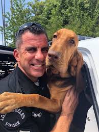 Wade Byrd (@wadebyrd)