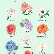 The 10 Most Popular Flowers For Weddings