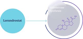 Image result for Aldosterone