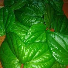 Maybe you would like to learn more about one of these? Assalamualaikum Sya Mcari Daun Sireh Orang Wangsa Maju Facebook