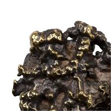 Image result for Catha