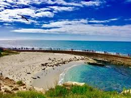For me, paying a little visit to the seals never gets boring. Parking Was A Challenge Review Of Children S Pool La Jolla Ca Tripadvisor
