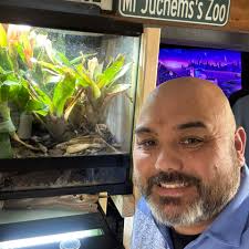 What happened to Solomon Island Leaf Frogs?