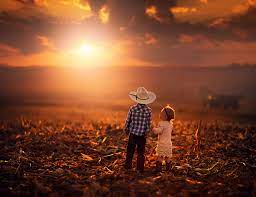 This collection features pattern and texture designs such as wood piles, bookshelves, and bricks! Kids Sunset 4k Ultra Hd Wallpaper Background Image 3840x2944