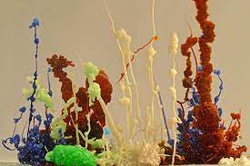 We did not find results for: Classical Chemical Garden Formed By The Addition Of Cobalt Copper Download Scientific Diagram