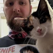 Sorry Sweetheart added a new photo — at...