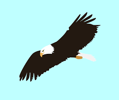 Dihalaman ini anda akan melihat gambar elang kartun keren yang ! Adler Vogel Fliegen Kostenlose Vektorgrafik Auf Pixabay
