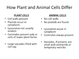 We did not find results for: Eukaryotic Cell Substructure Plant And Animal Cells Ppt Download