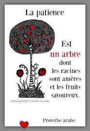 Proverbe Arabe Patience Arbre Fruit Jpg 385 560 Proverbe Arabe Patience Patience Citation