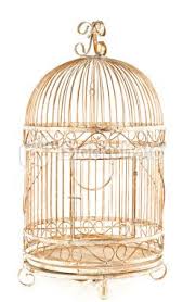 Bird In A Gilded Cage Book Gilded Birdcage Bird Cages Bird Cage Gilded