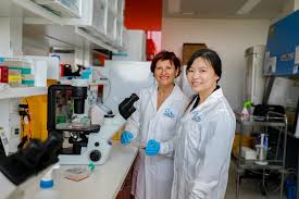 This World Bee Day, an update