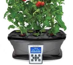 The company states that plants regularly fed with miracle gro will grow faster and if used according to directions, and the fertilizer will not burn plants. 10 Indoor Herb Gardens That Will Test Your Green Thumb