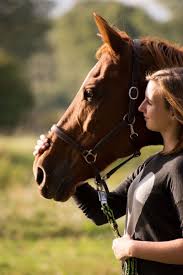 Horse Bonding Exercises Horses Trail Riding Horses Horse Training