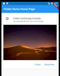 Let's see, how can we create my profile card application in flutter. How To Create Flutter Card With Example Code