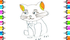 Kedi Boyama