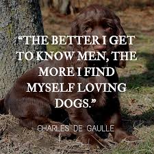 Dog Quotes We Rounded Up The Best Of The Best