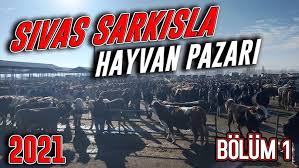 sivas sarkisla hayvan pazari 2021 yili ilk videosu fiyatlari tek tek sordum hayvanpazari youtube