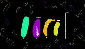 Cuál es la joda con el tamaño del pene? - Del Segundo Sexo