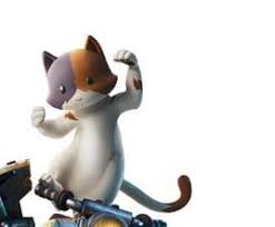 Battle royale outfits, characters, 3d models, sounds and more. Kit Is Meowscles Son So Does This Mean Meowscles Has A Wife Maybe Lynx Fortnitebr