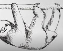 Read online books for free new release and bestseller How To Draw A Sloth For Children Archives How To Draw Step By Step
