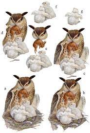 Super Chouette Art Carte Feuilles 3d Dessin Coloriage