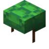 More than a decade after its release, minecraft remains one of the most popular games on pcs, consoles, and mobile dev. Armadura Minecraft Wiki