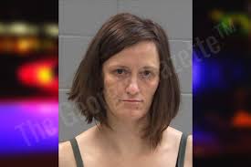 Ashley Springer — Baldwin County Jail Bookings