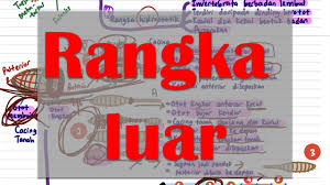 Kesihatan manusia sains tingkatan 2. Sains Tingkatan 4 Topik 6 1