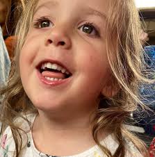 Best sunset wine cruises for a memorable experience