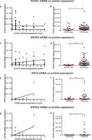 Bladder cancer can often be found early because it causes blood in the urine or other urinary symptoms that cause a person to see a health care provider. Practicability Of Clinical Application Of Bladder Cancer Molecular Classification And Additional Value Of Epithelial To Mesenchymal Transition Prognostic Value Of Vimentin Expression Journal Of Translational Medicine Full Text