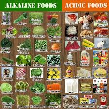 alkaline food chart cancers and other diseases feed off of