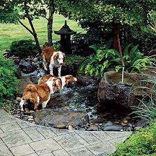 Backyard Ideas For Dogs Dog Friendly Backyard Dog Friendly Garden Dog Friendly Garden Ideas