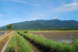 Menteri besar kedah muhammad sanusi md nor menafikan dakwaan mengatakan banjir melibatkan beberapa kampung dan kawasan perumahan di kawasan kaki gunung jerai di yan dan kuala muda pada rabu adalah disebabkan oleh aktiviti pembalakan. Panorama Gunung Jerai Di Yan Kedah Fotolestari Flickr