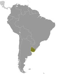 Karten von uruguay zum herunterladen. Uruguay Klima Wetter Beste Reisezeit Klimatabelle