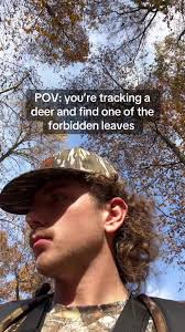 Deer Looking Like Boy in Leaves