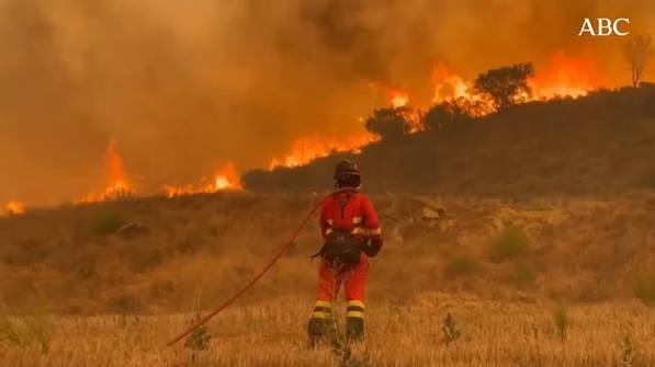Agricultores y ganaderos de la Sierra Norte de Guadalajara: «Puede haber cambio climático, pero si el monte estuviera cuidado y desbrozado, esto no pasaría» Ahí es donde hay que poner el dinero